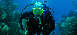 Oceandive Matemwe