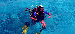 Oceandive Nungwi
